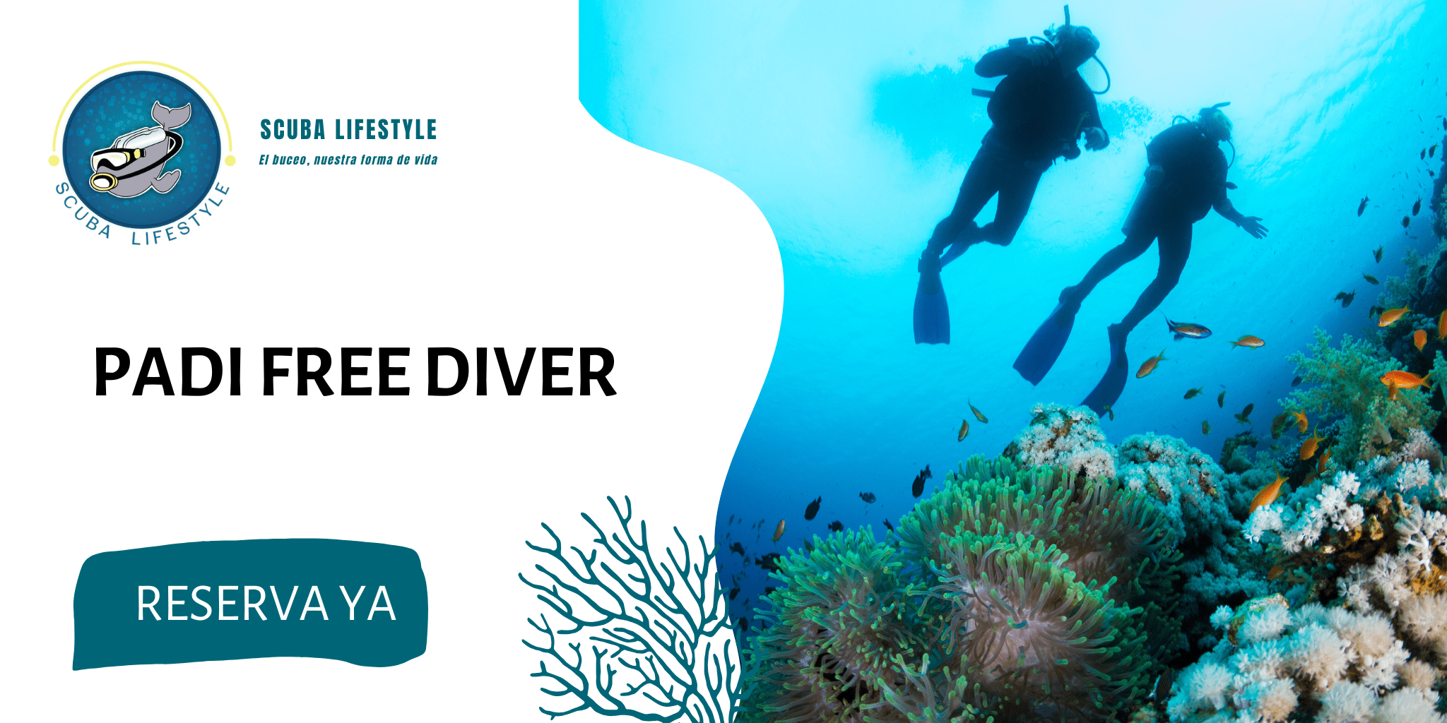 PADI Freediver