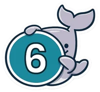 Paso 6